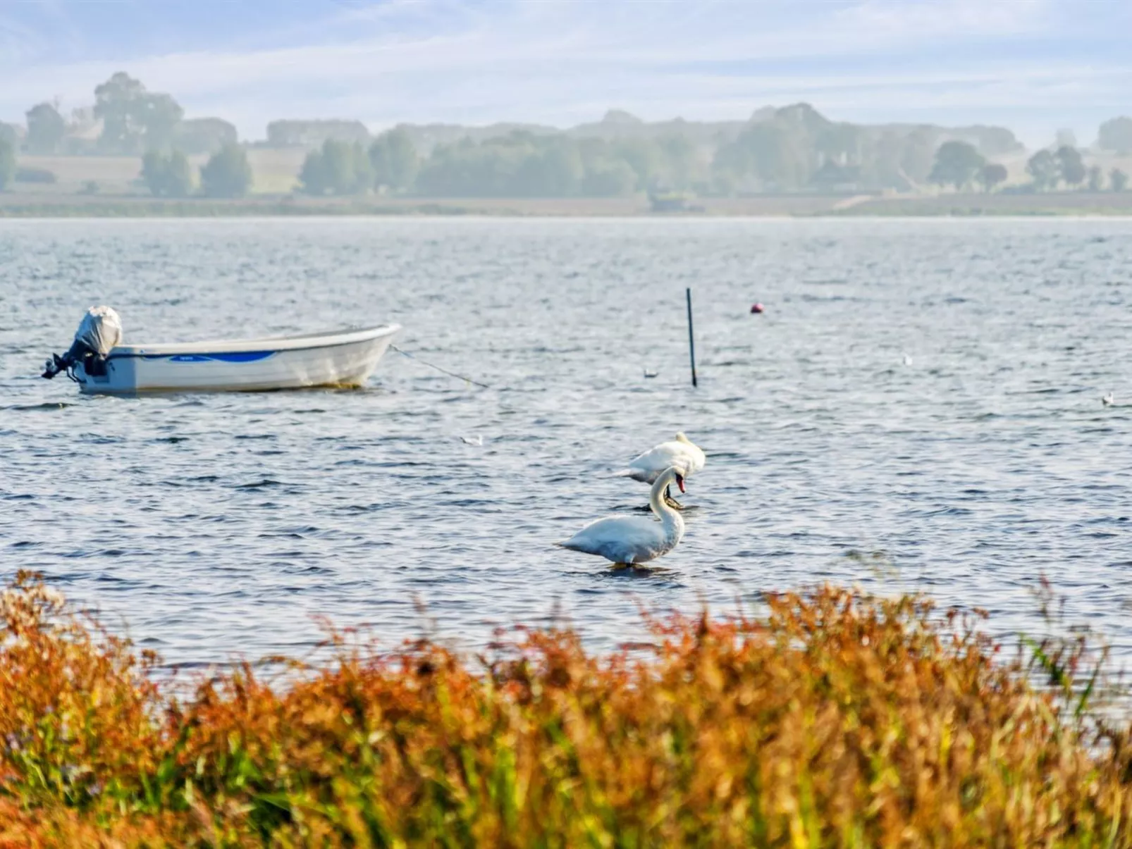 "Gyrth" - 20m to the inlet-Outside