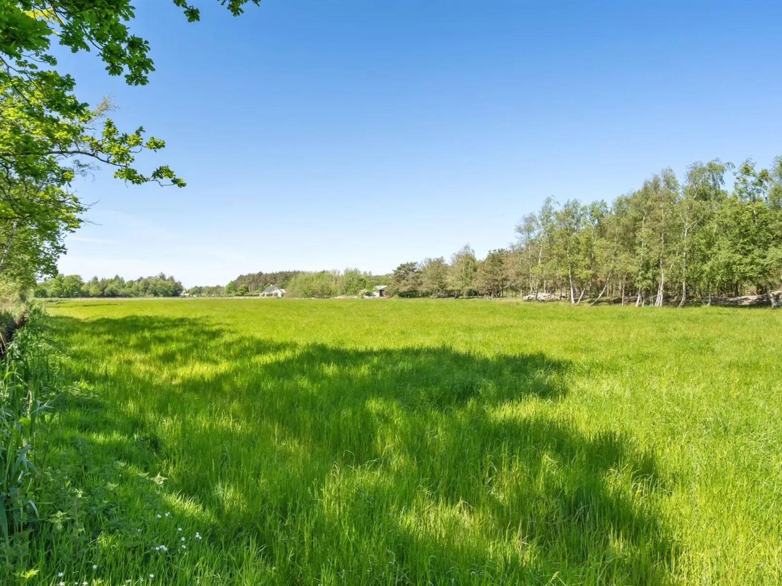 "Aldina" - 1.6km from the sea-Draußen