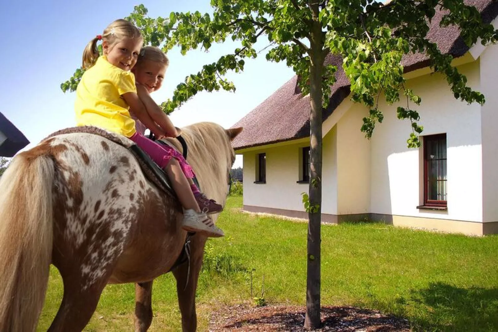 Ferienhaus Typ A 120 qm-Außenbereich Sommer