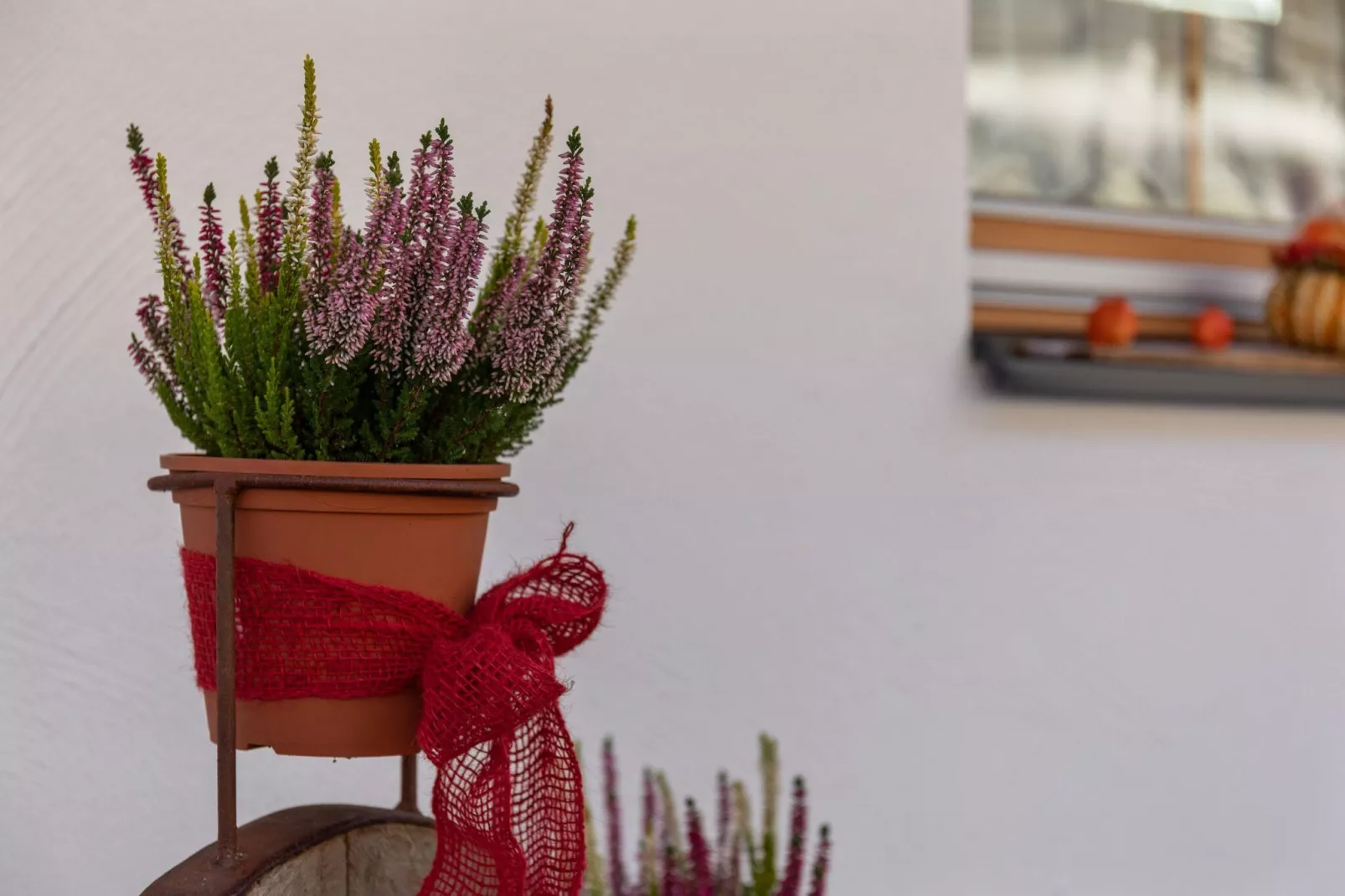 Salzach Appartement Wald-Atmosphere