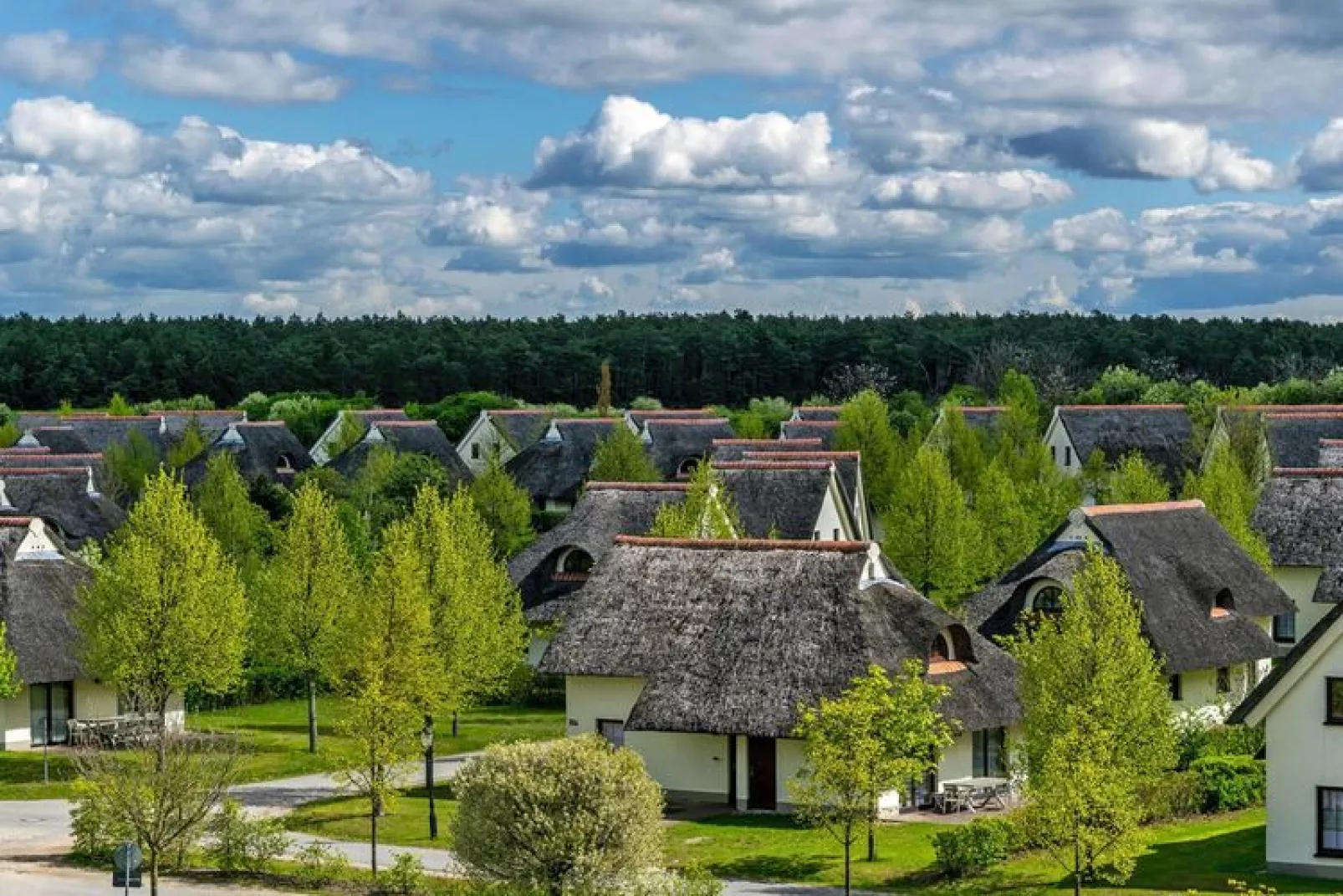Ferienhaus Typ A 120 qm-Außenbereich Sommer