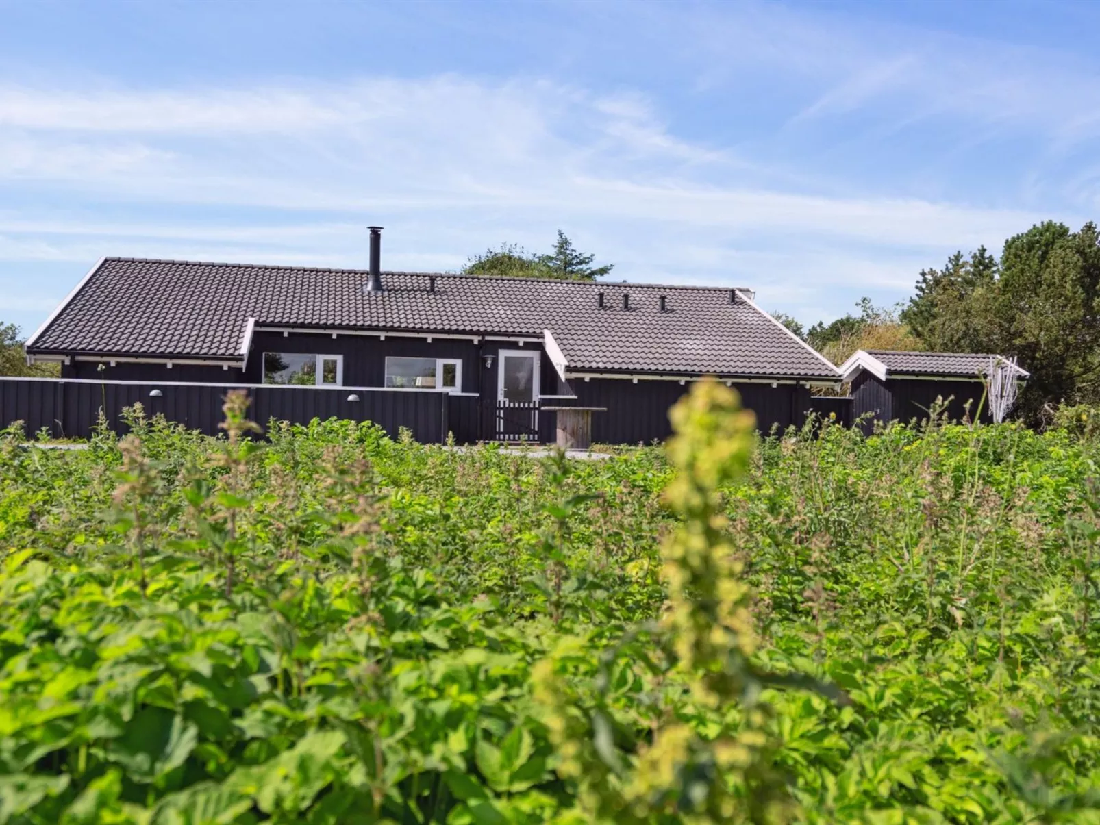 "Blondine" - 940m from the sea-Outside