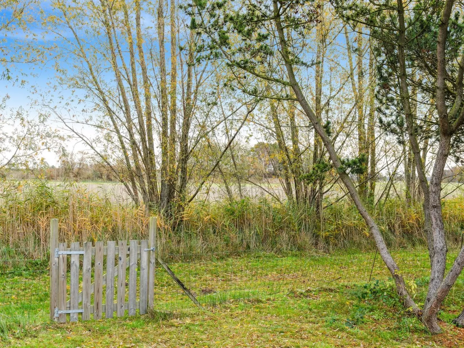 "Arendine" - 700m from the sea-Outside