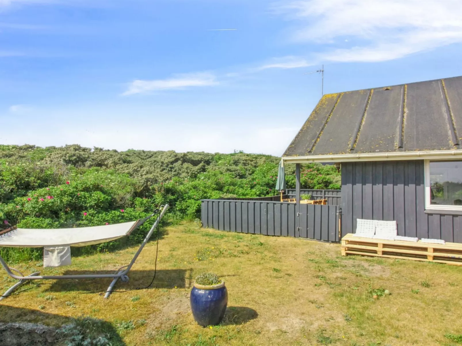 "Harry" - 100m from the sea-Outside