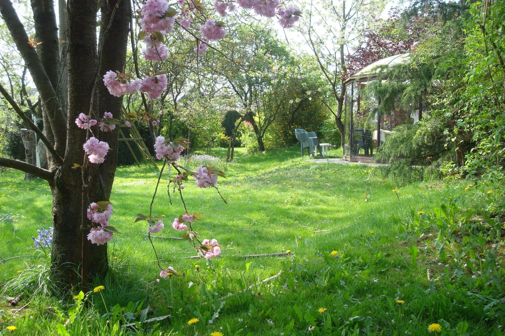 La Belle Jardinière-Gardens summer