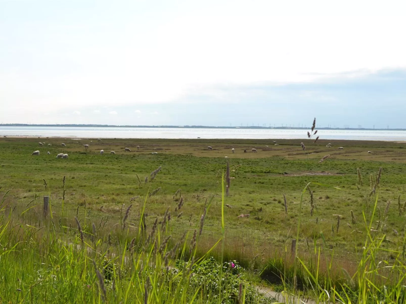 "Gertruda" - 2.3km from the sea-Outside