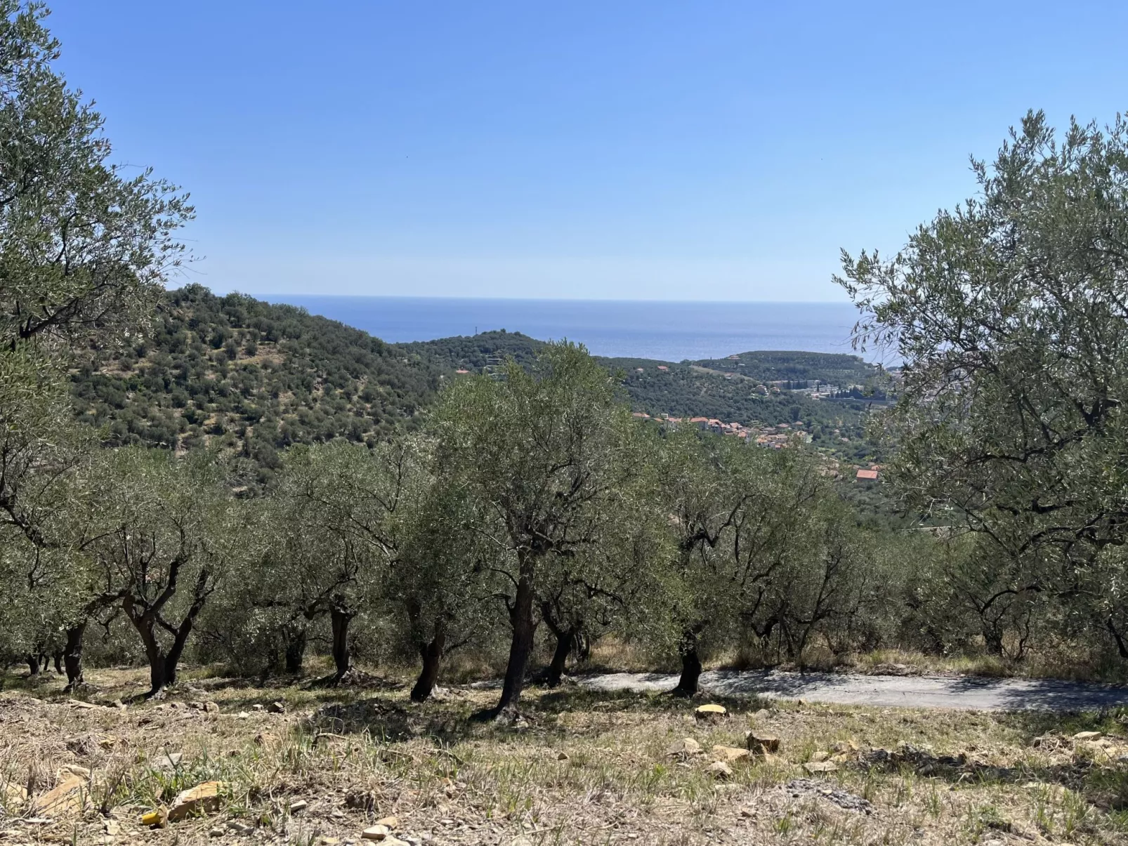 Villa Antica Pineta-Dedans