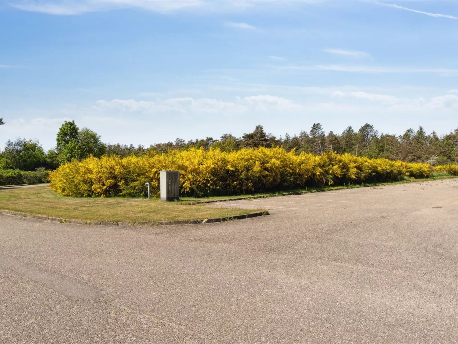 "Dafna" - 100m from the sea-Draußen