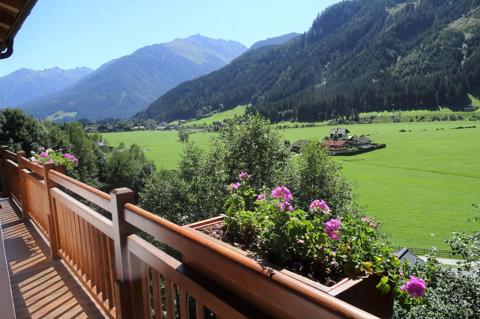 Chalets im Wald-Aussicht Sommer