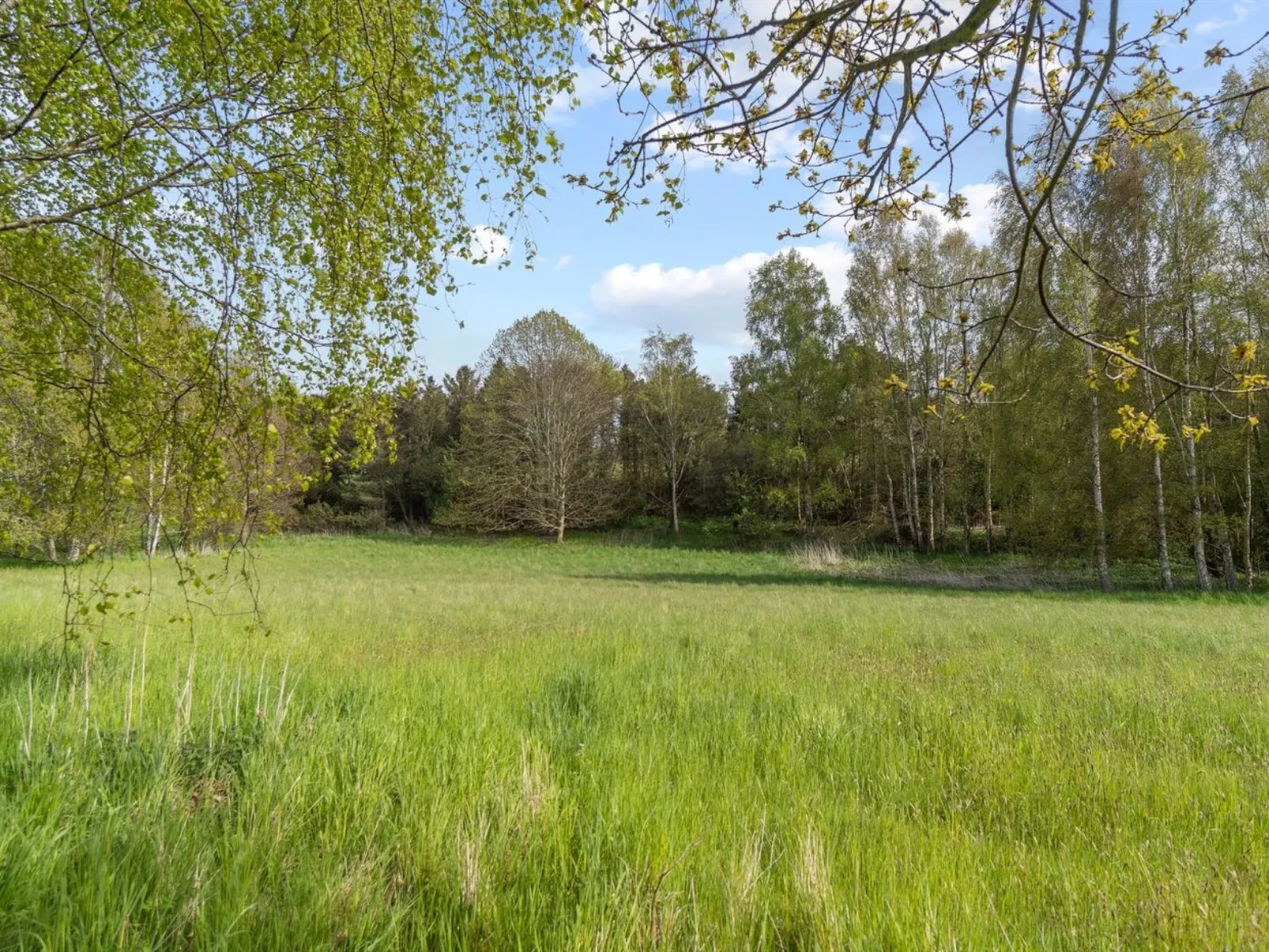 "Till" - 1.6km from the sea-Outside