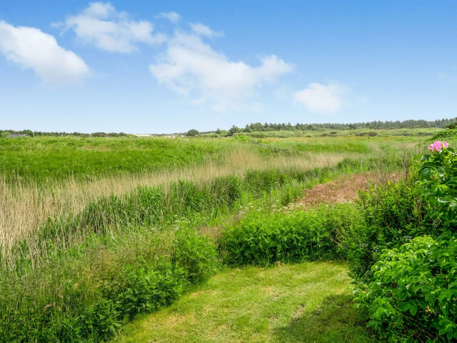"Tinja" - 700m from the sea-Draußen