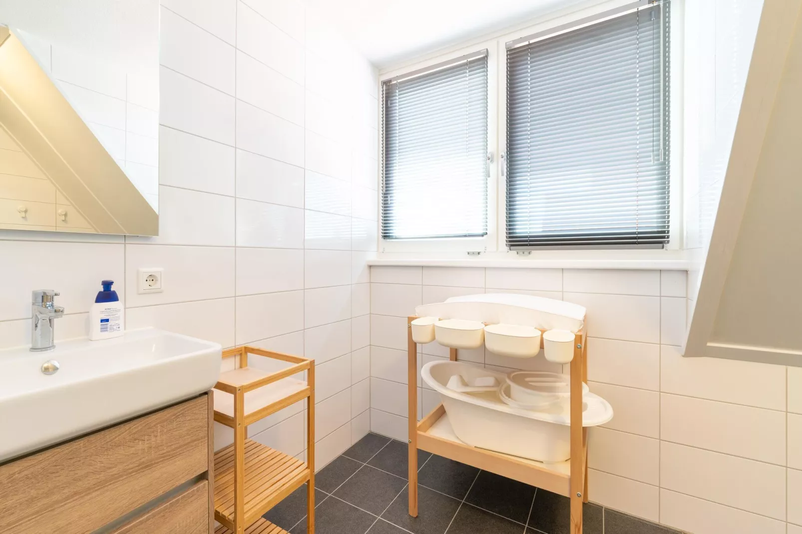 De IJsvogel Huis Nr 24-Bathroom
