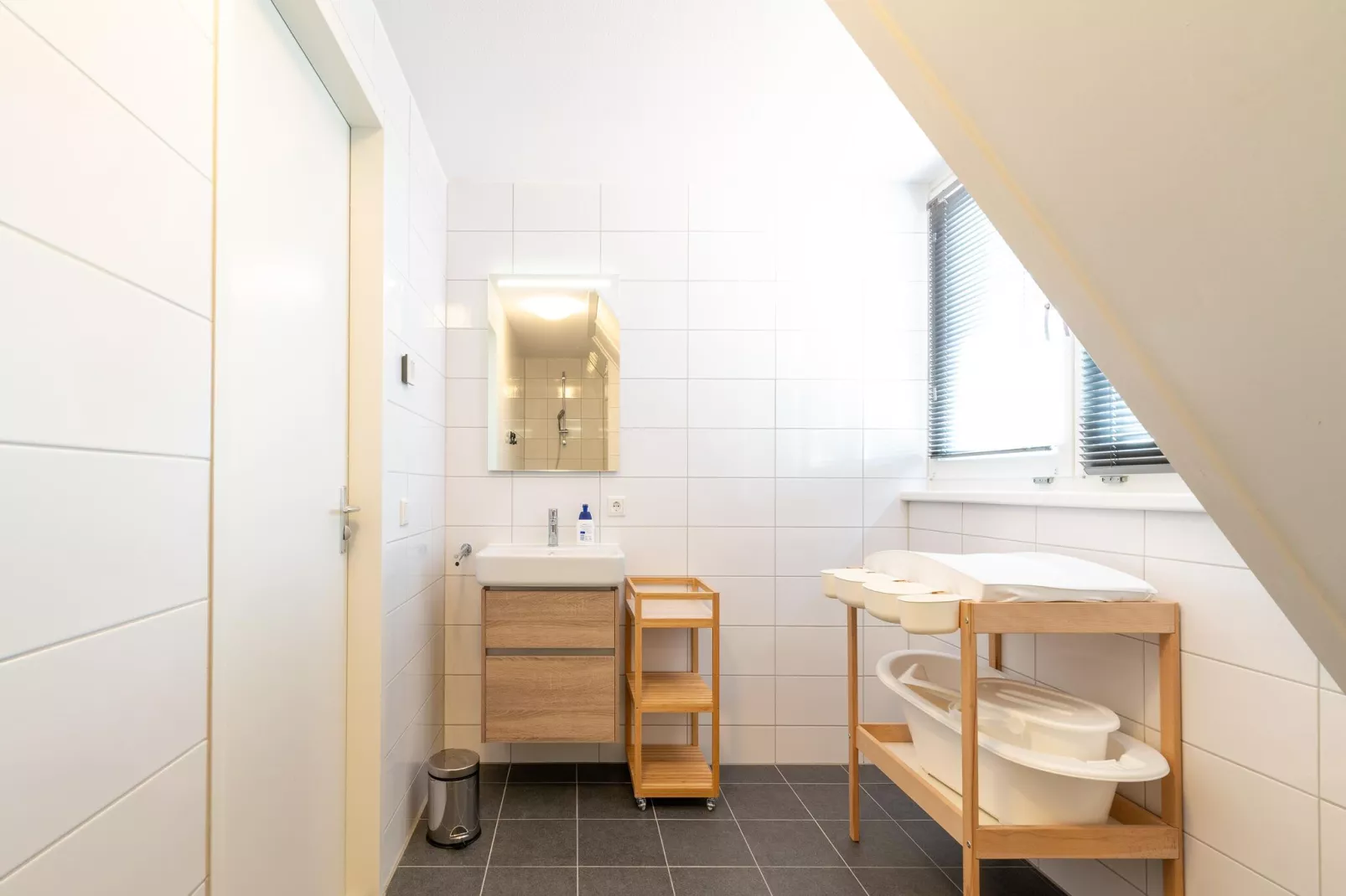 De IJsvogel Huis Nr 24-Bathroom
