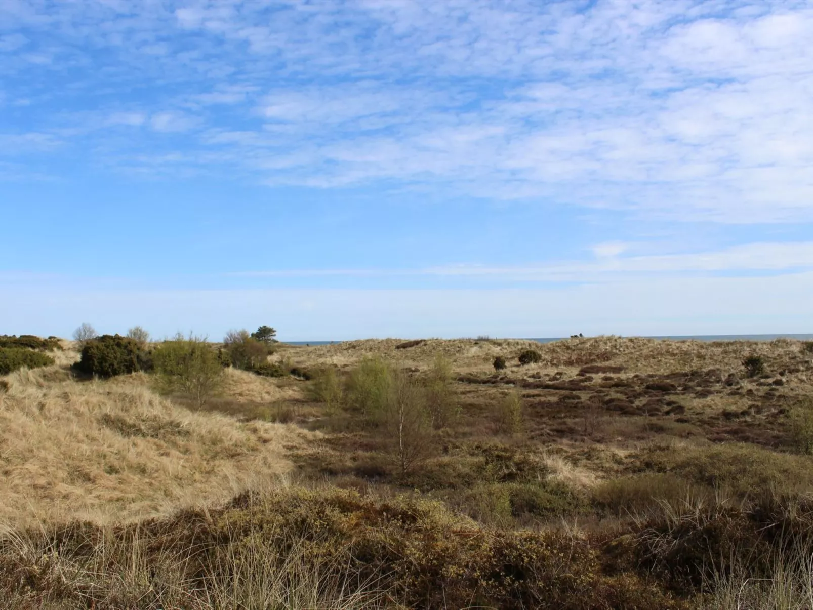 "Alexi" - 150m from the sea-Outside