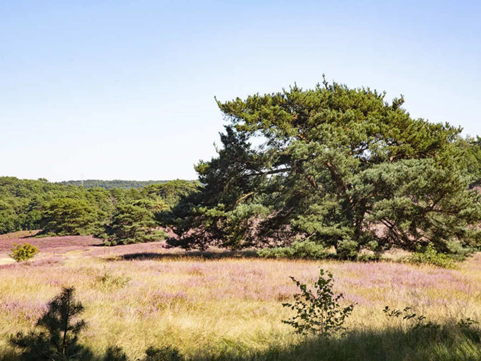 Velthorst Sauna 4-Outside