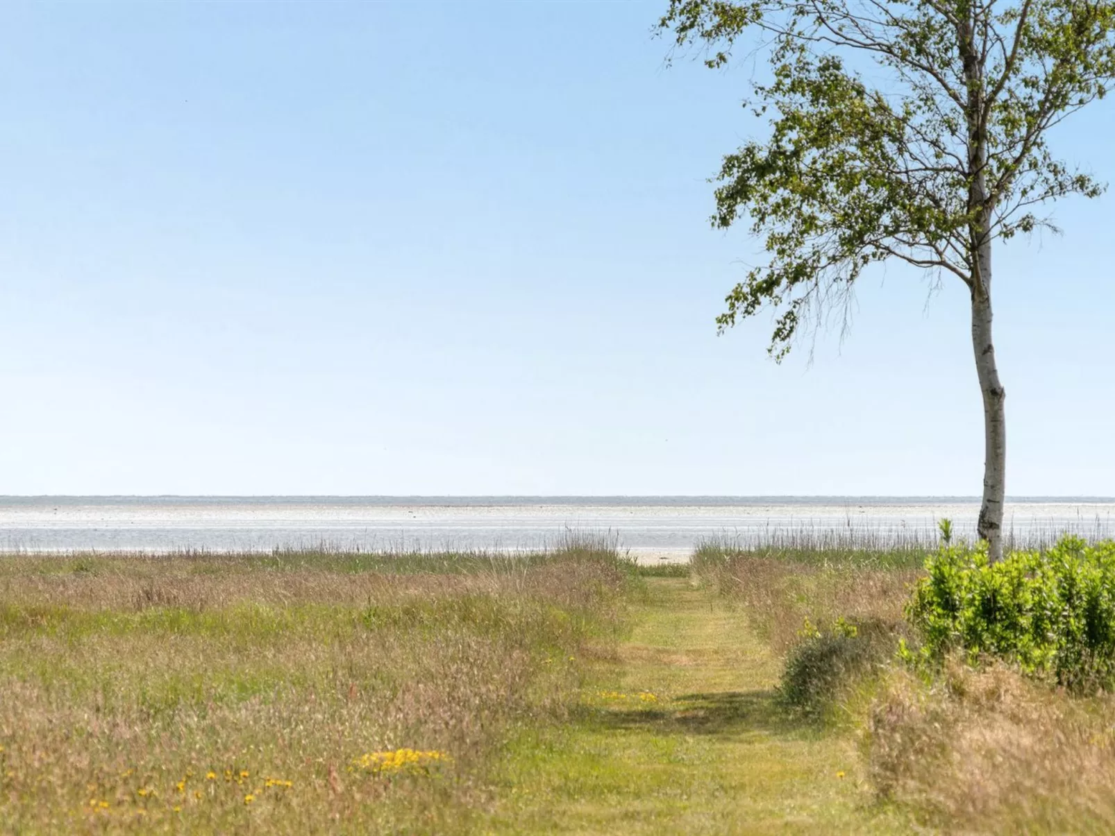 "Lycka" - 3km from the sea-Outside