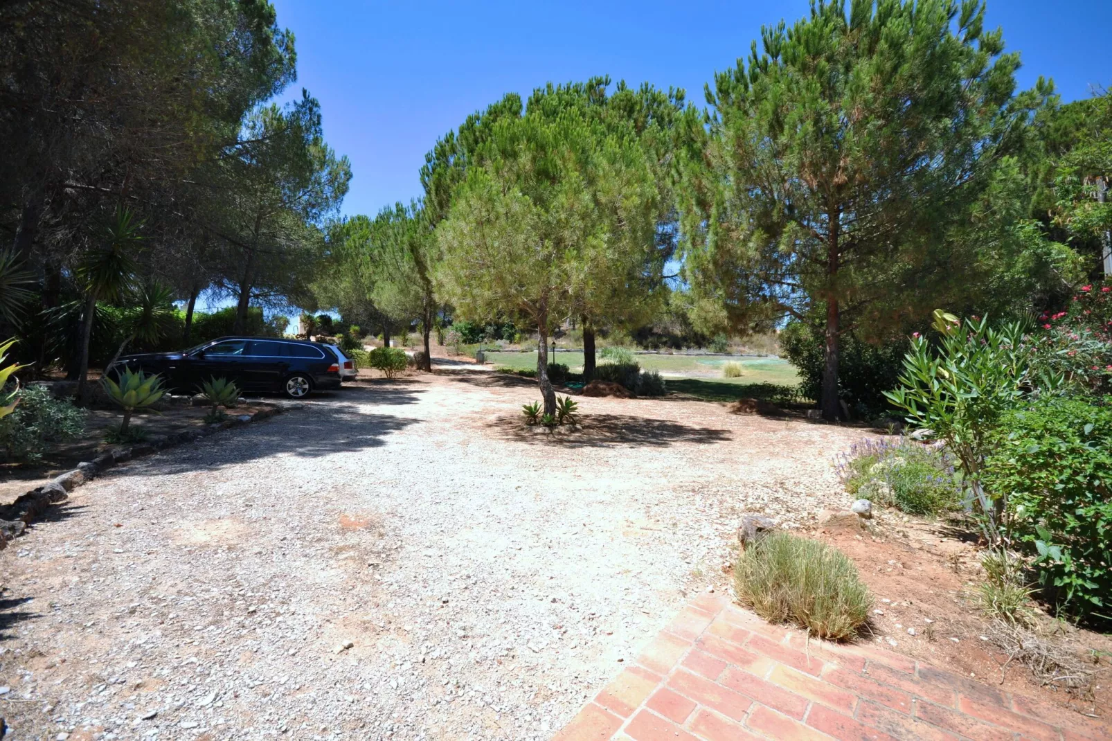Casa Violeta-Facilities
