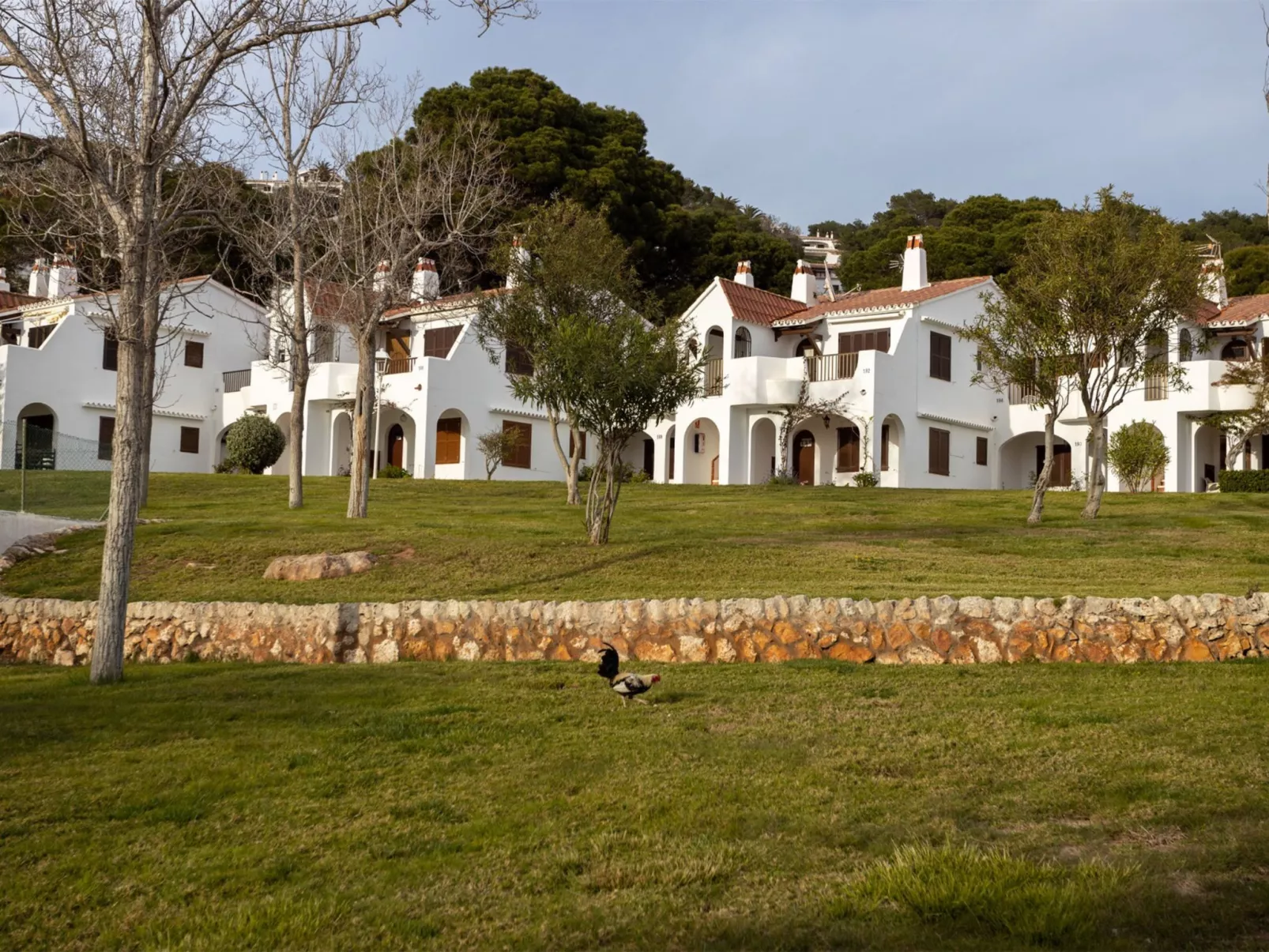 Son Bou Gardens PLUS-Outside
