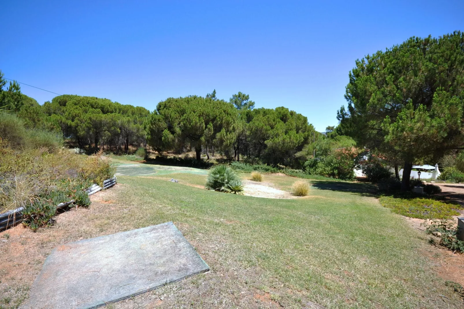 Casa Violeta-Gardens summer