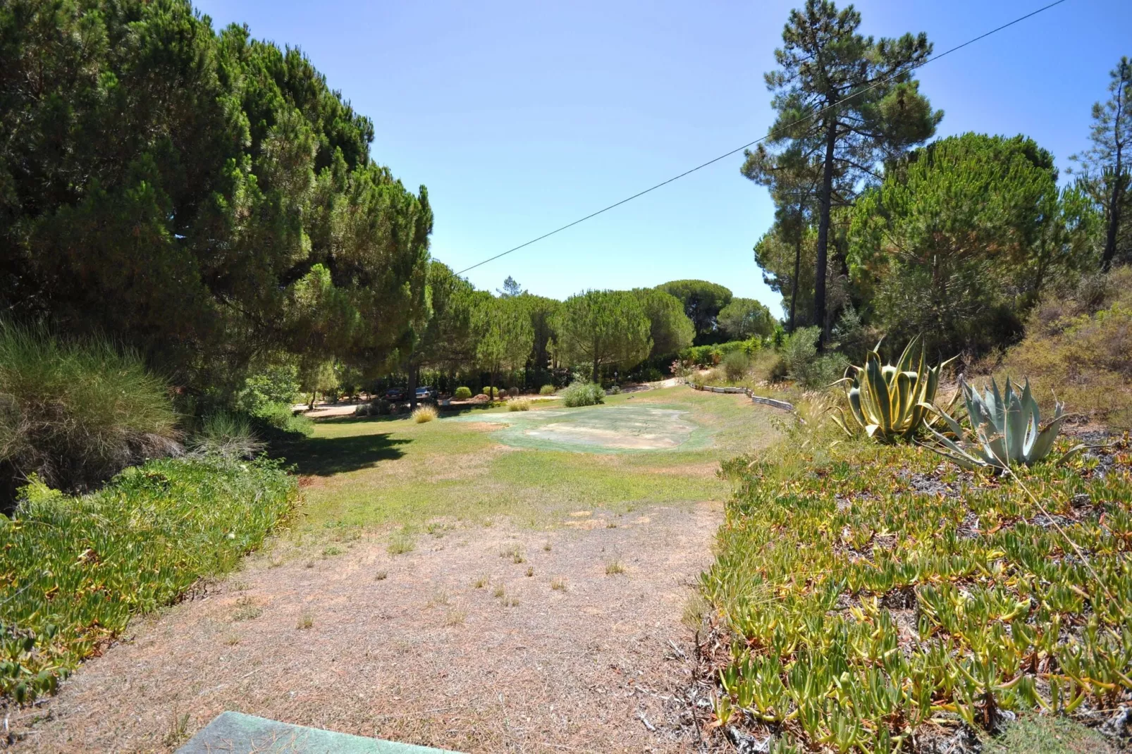 Casa Violeta-Gardens summer