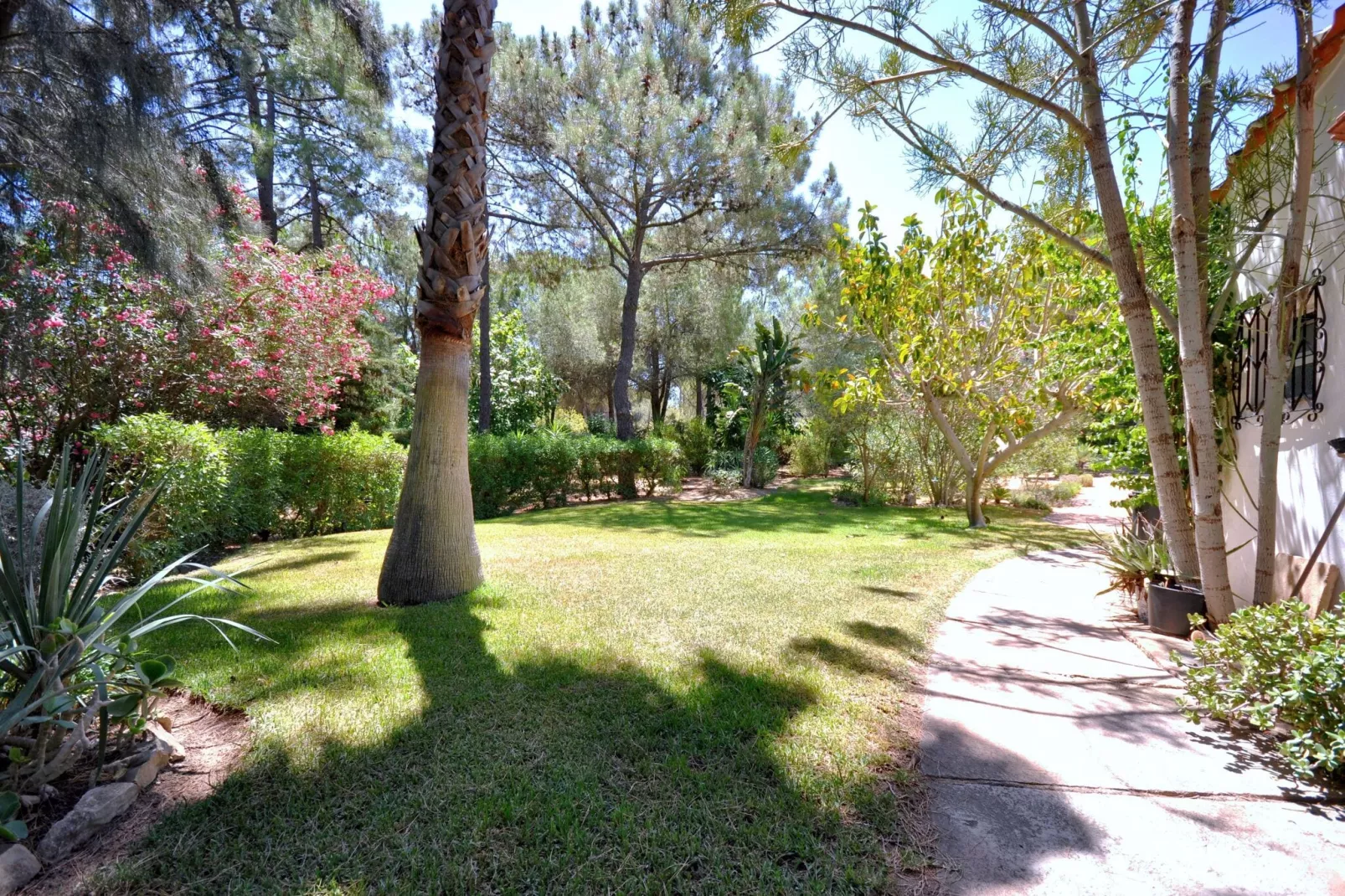 Casa Violeta-Gardens summer