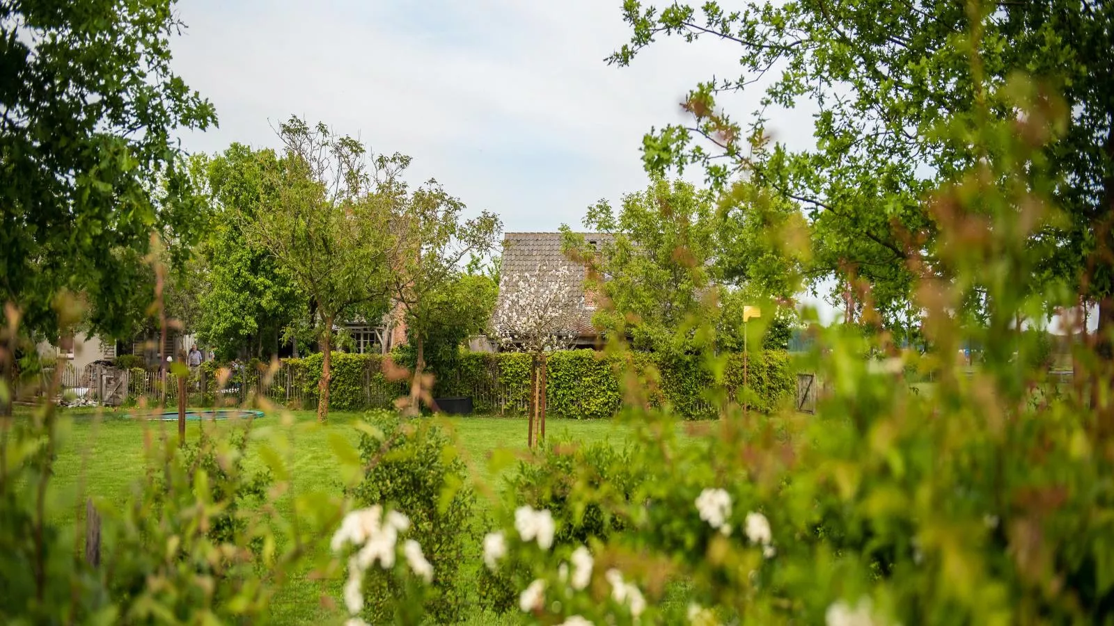 Meidoornhoeve-Gardens summer