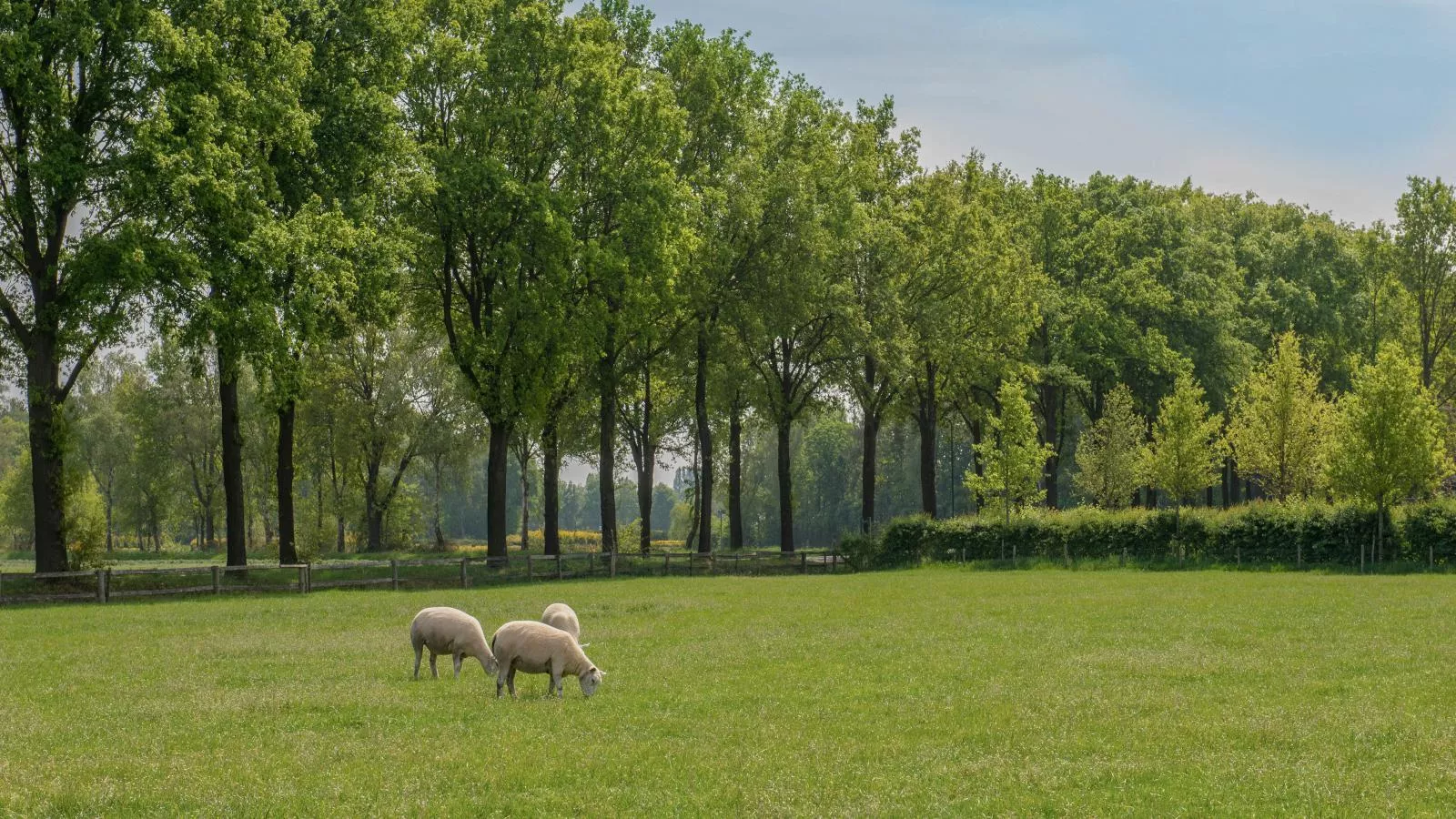 Meidoornhoeve-Areas summer 1km