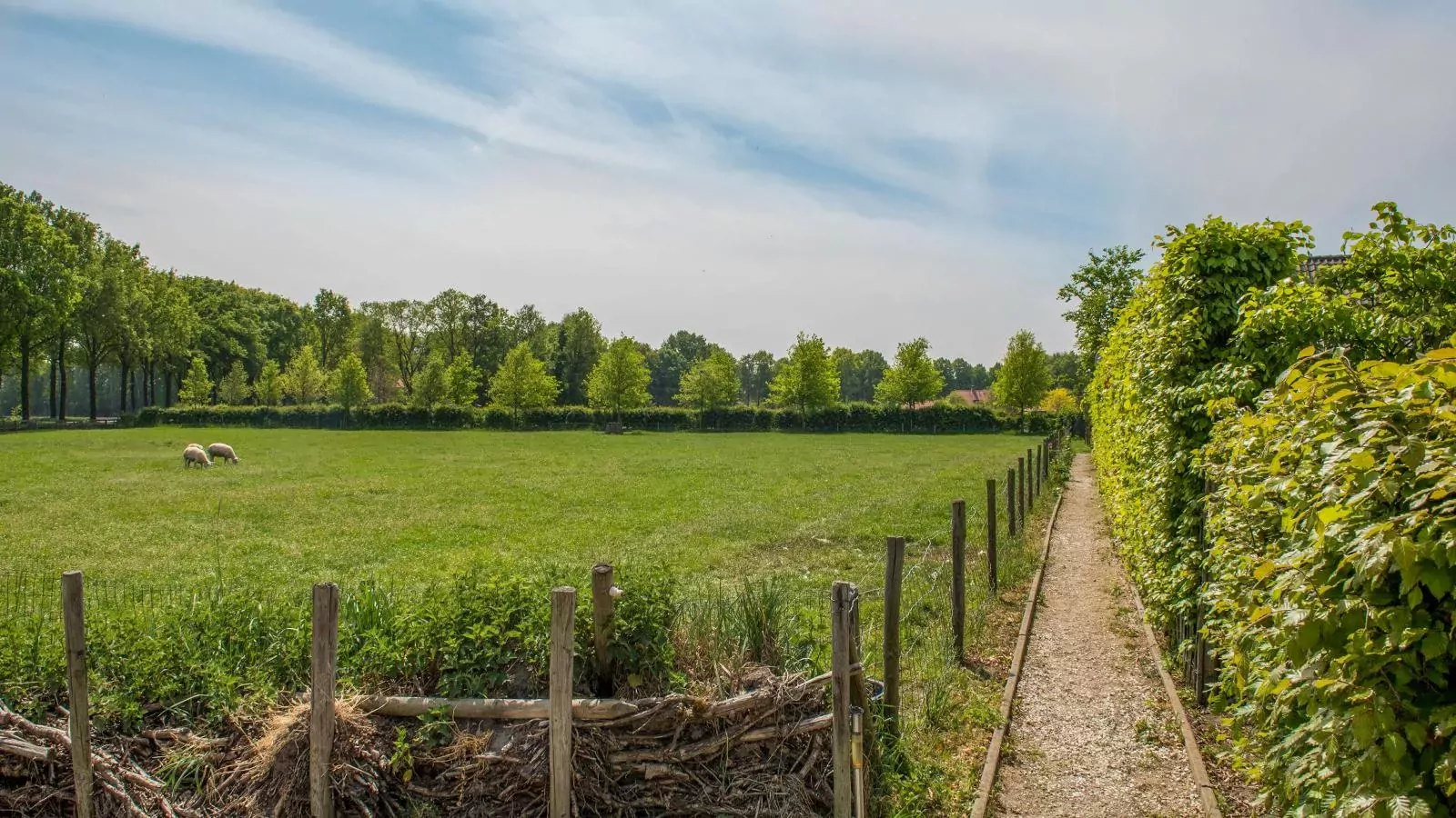 Meidoornhoeve-Areas summer 1km