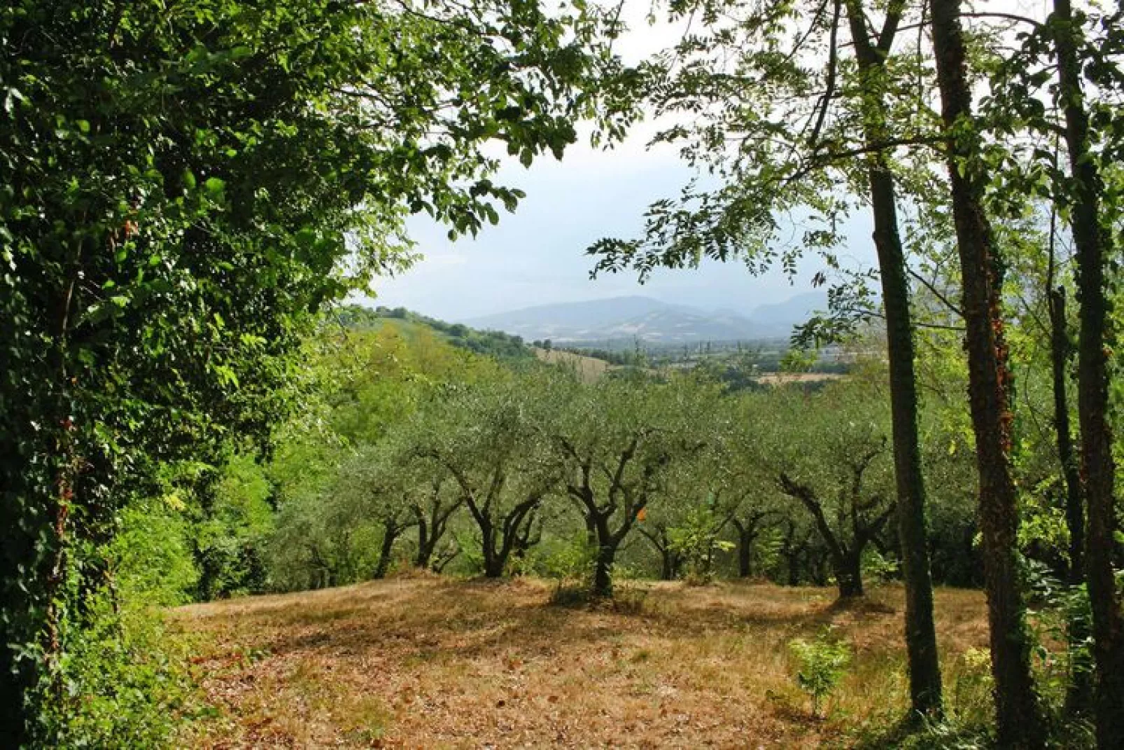 Holiday home dei Pavoni Montemaggiore con Piscina privata-Gardens summer