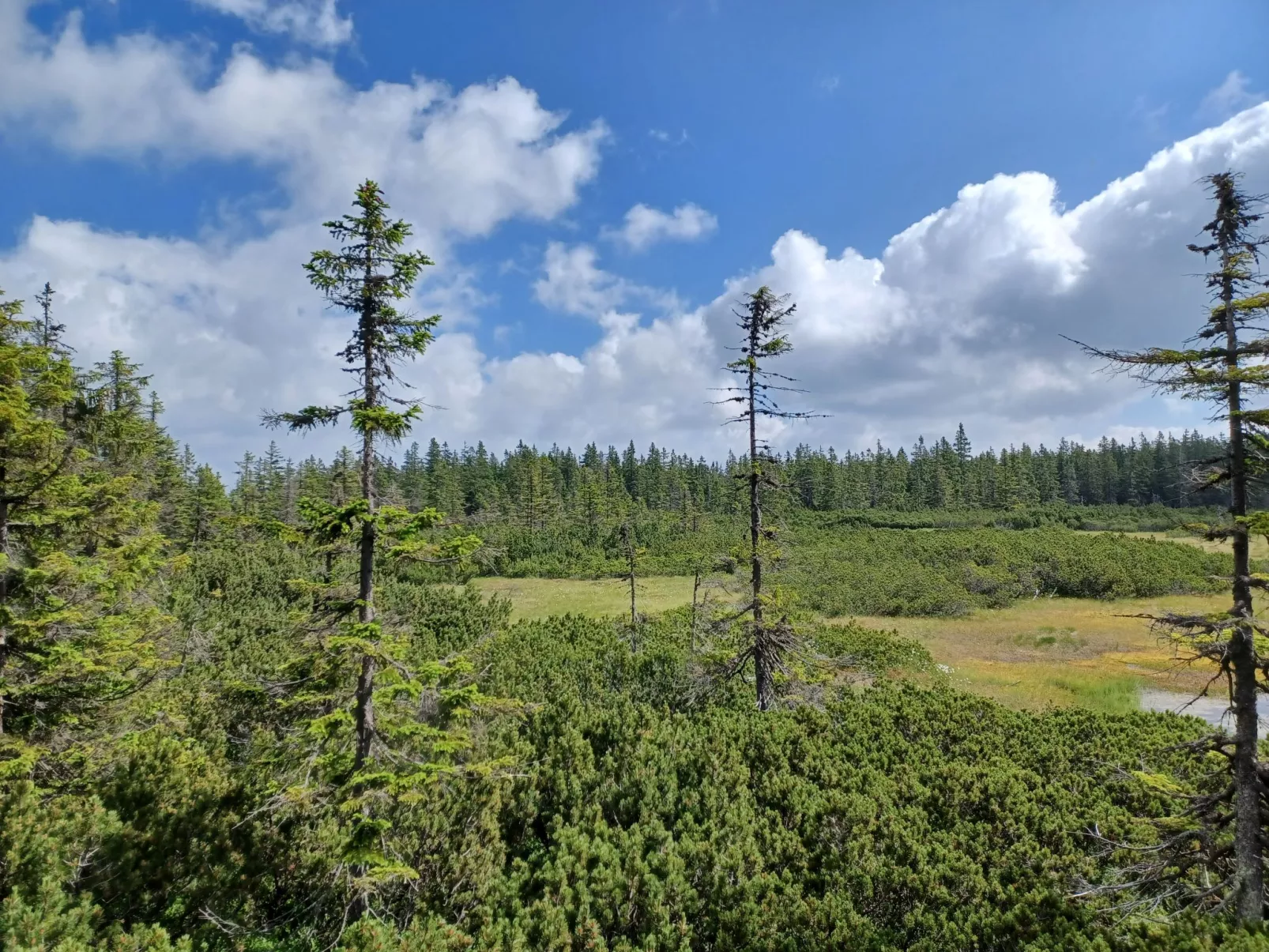 Černý Důl-Outside