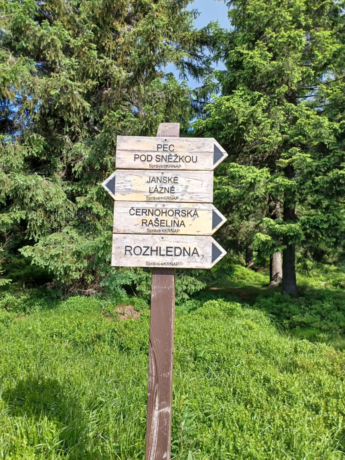 Černý Důl-Area