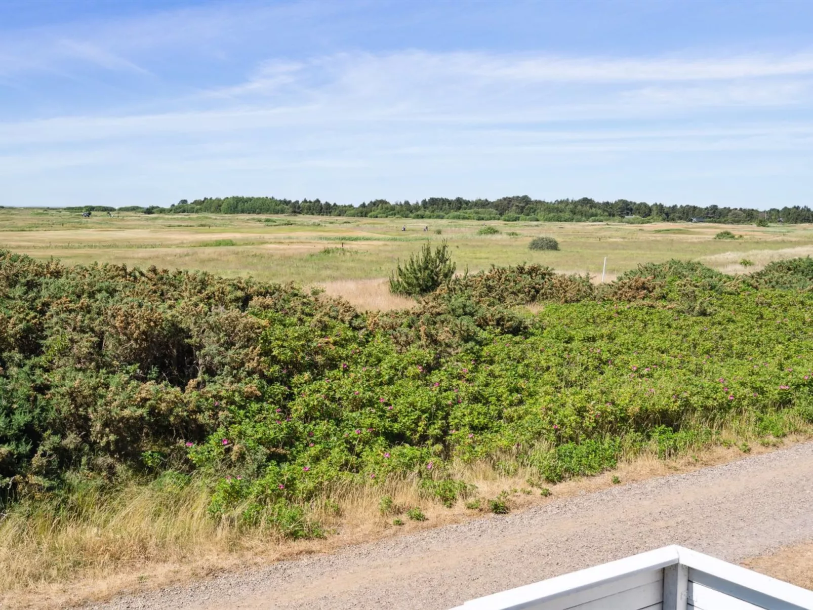 "Aappo" - 2.3km from the sea-Outside