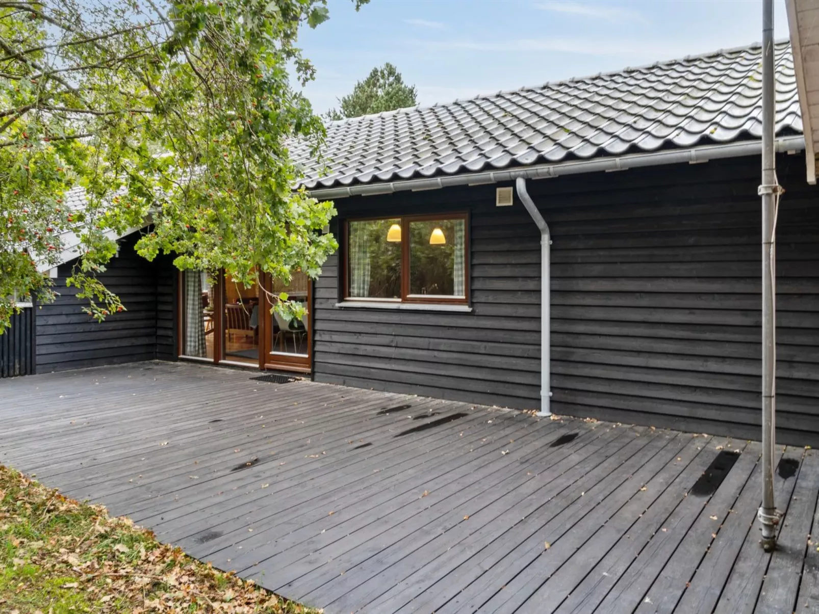 "Wilgrib" - 400m from the sea-Dehors