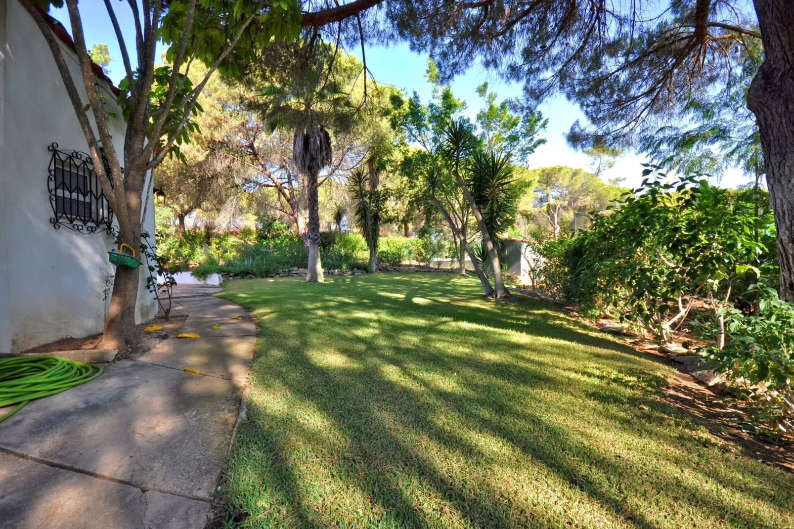 Casa Violeta-Gardens summer