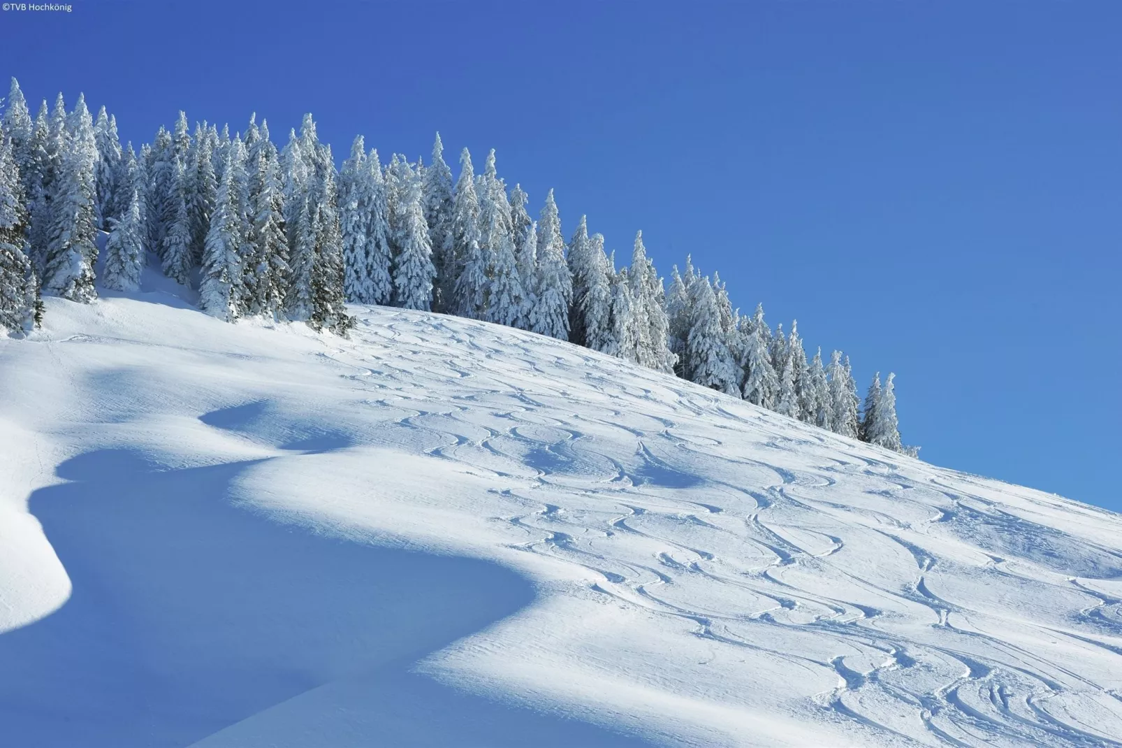 Chalet Apartment Mittenwald Top 1-Area winter 1km