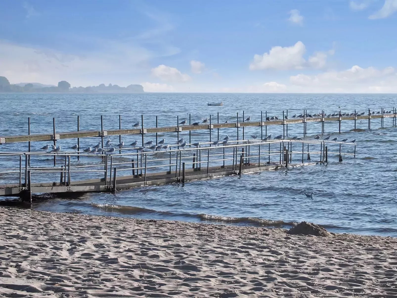 "Ebbeline" - 150m from the sea-Outside