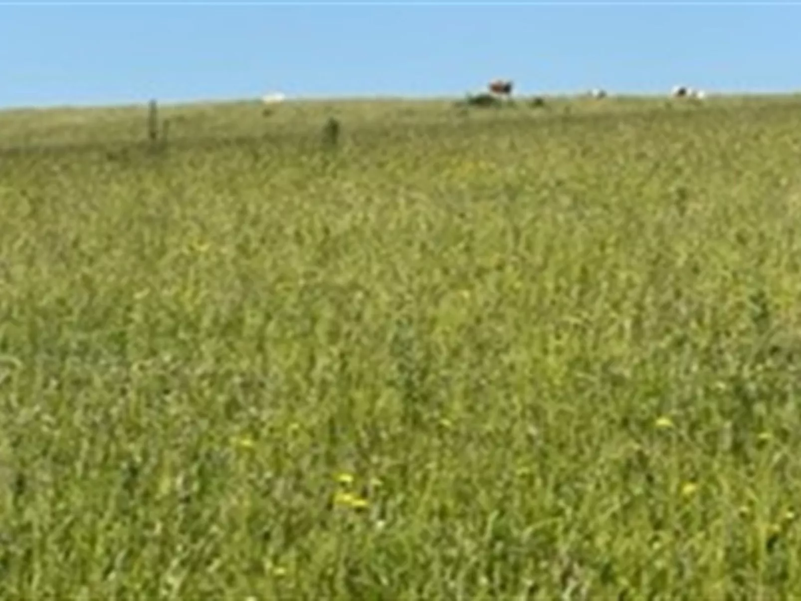 "Ebbeline" - 150m from the sea-Outside