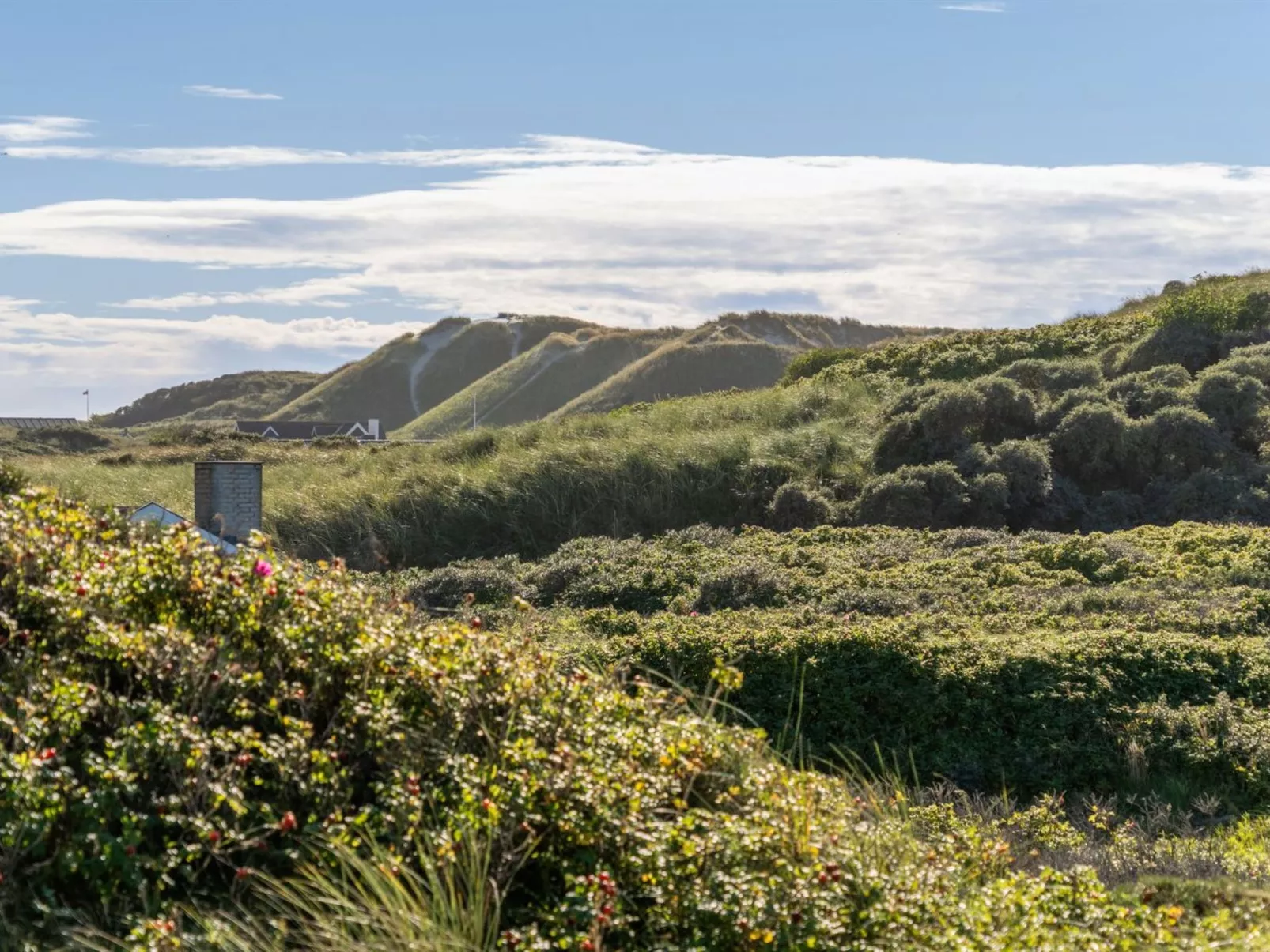 "Rauli" - 50m from the sea-Dehors