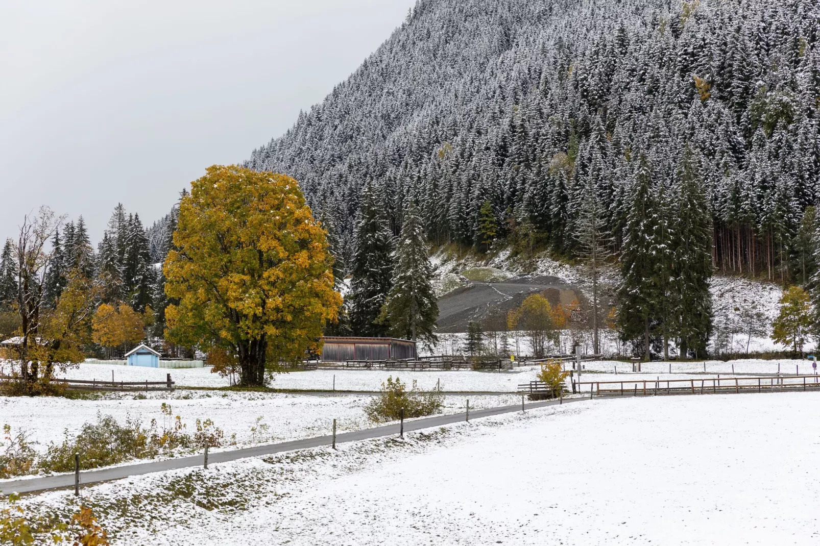 Chalet Apartment Mittenwald Top 2-Area winter 1km