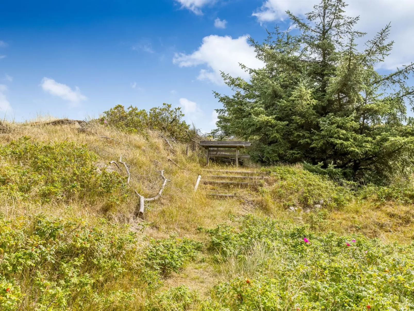 "Tineke" - 800m from the sea-Outside