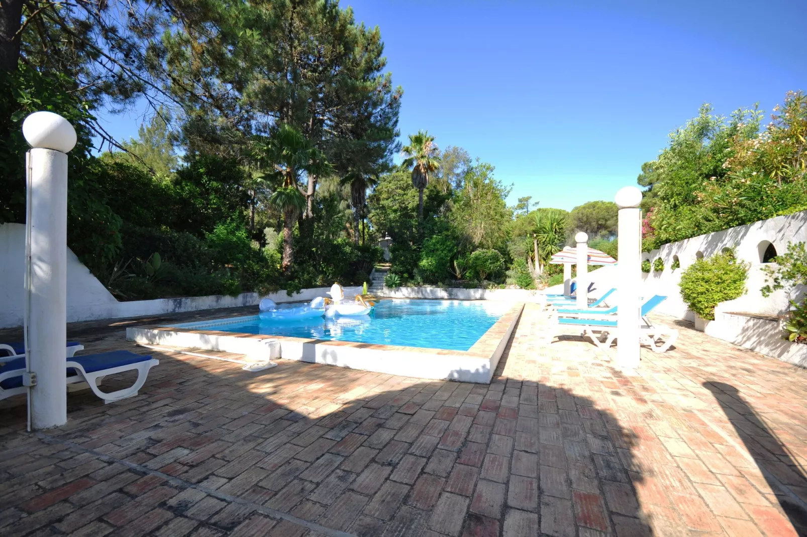 Casa Violeta-Pool