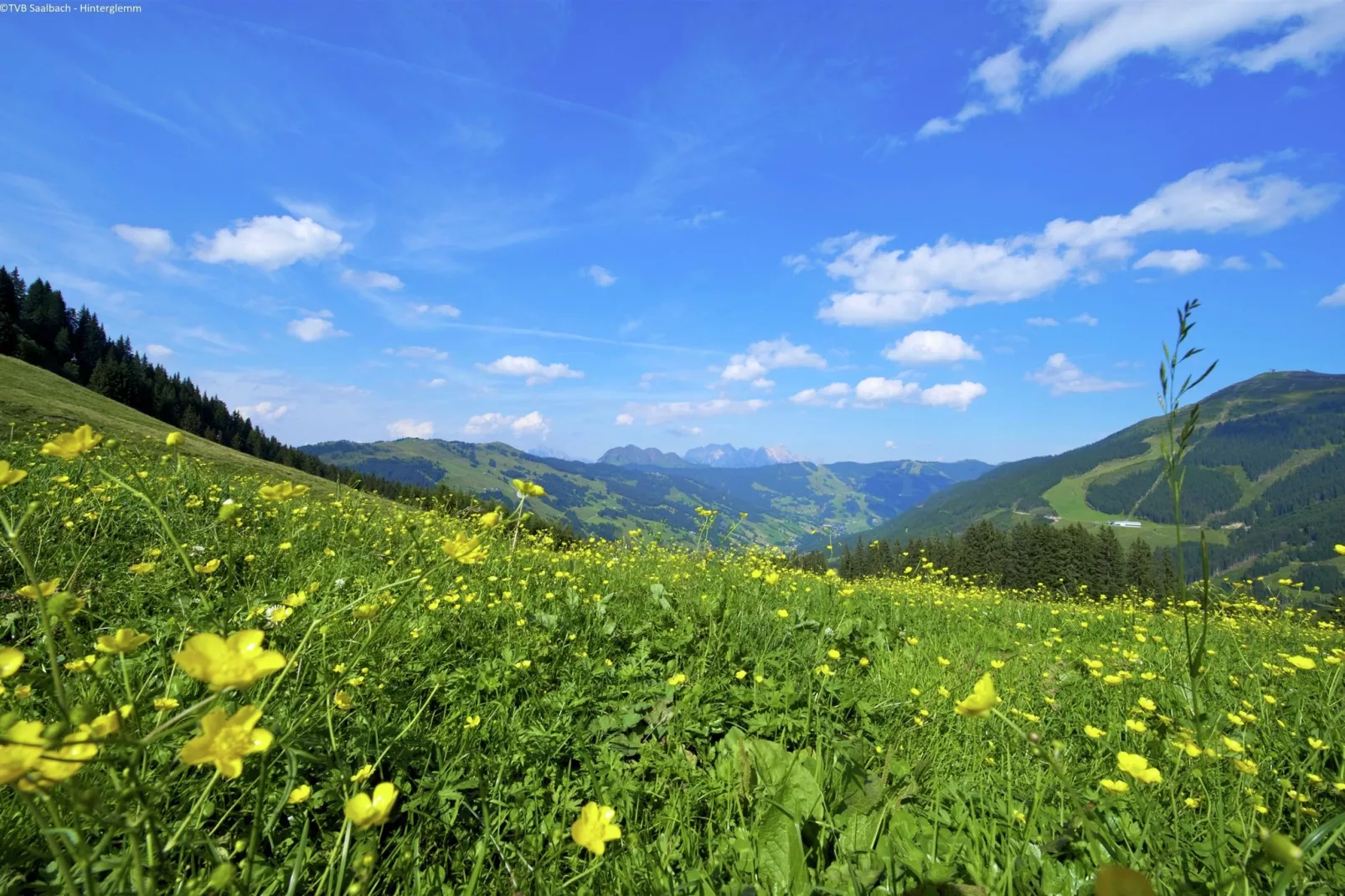 Chalet Apartment Mittenwald XL-Areas summer 5km