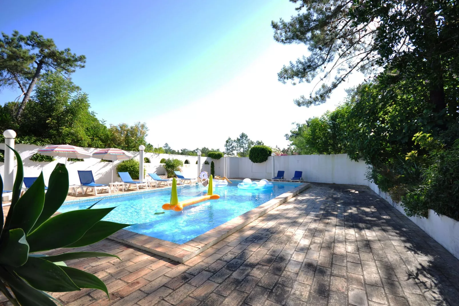 Casa Violeta-Pool