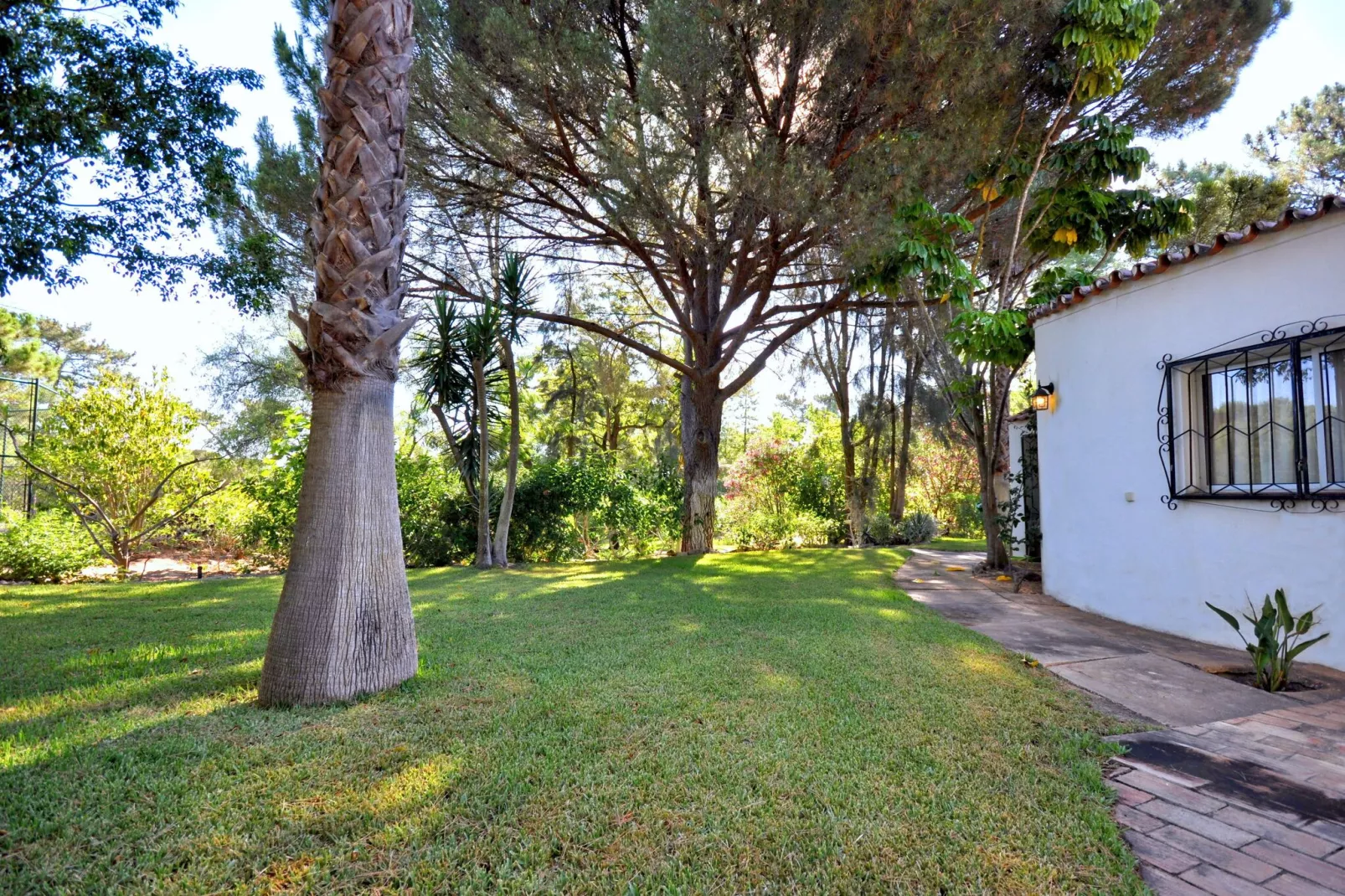 Casa Violeta-Exterior summer