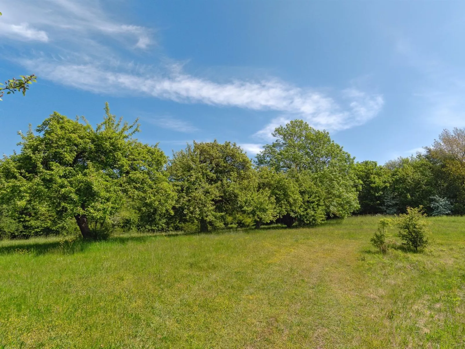"Guthbrand" - 800m from the sea-Draußen