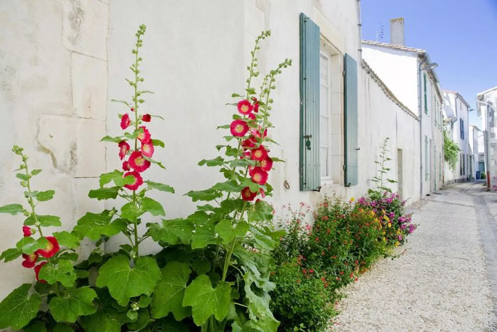 Residence Le Palais des Gouverneurs St Martin-de-Ré - 14 Standard Studio 4 p - 1 mezzanine-Exterior summer