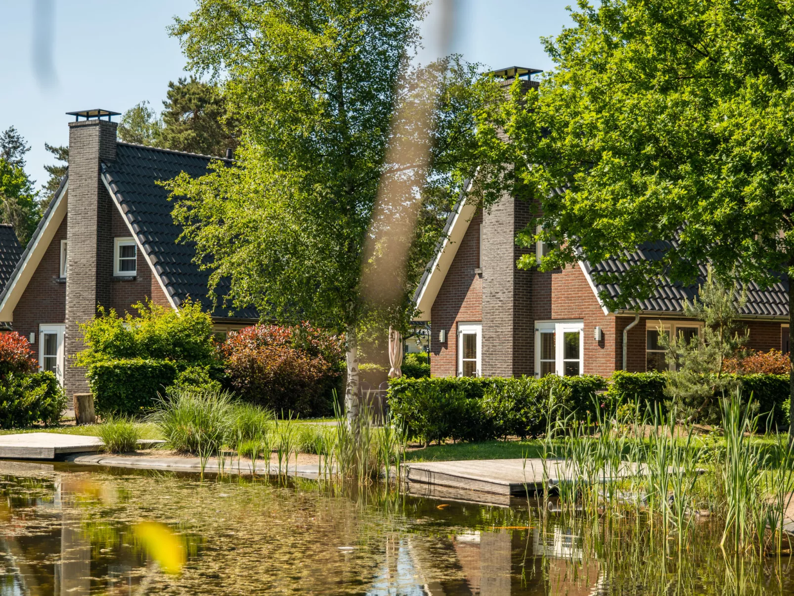 Bronckhorst 6-Outside