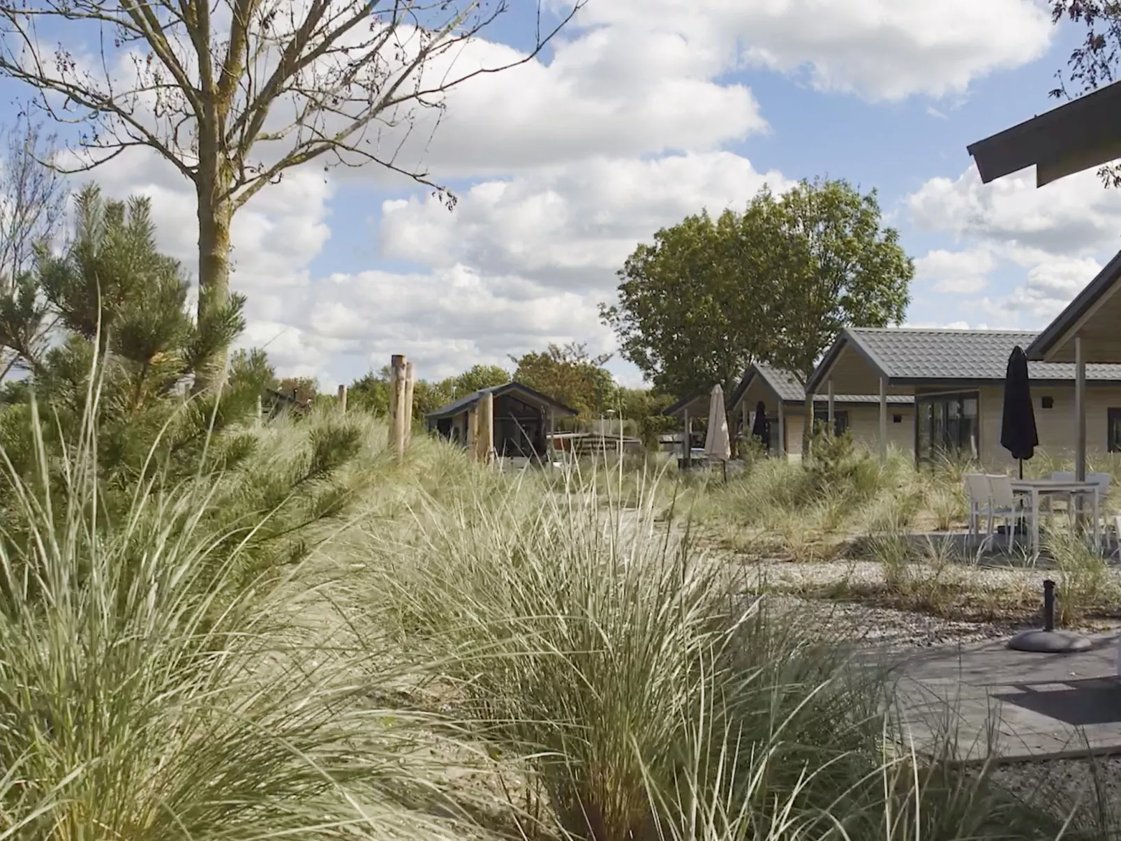 Tiny House 4-Outside