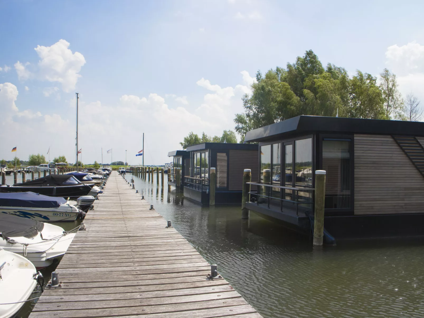 Eco Villa 12-Umgebung