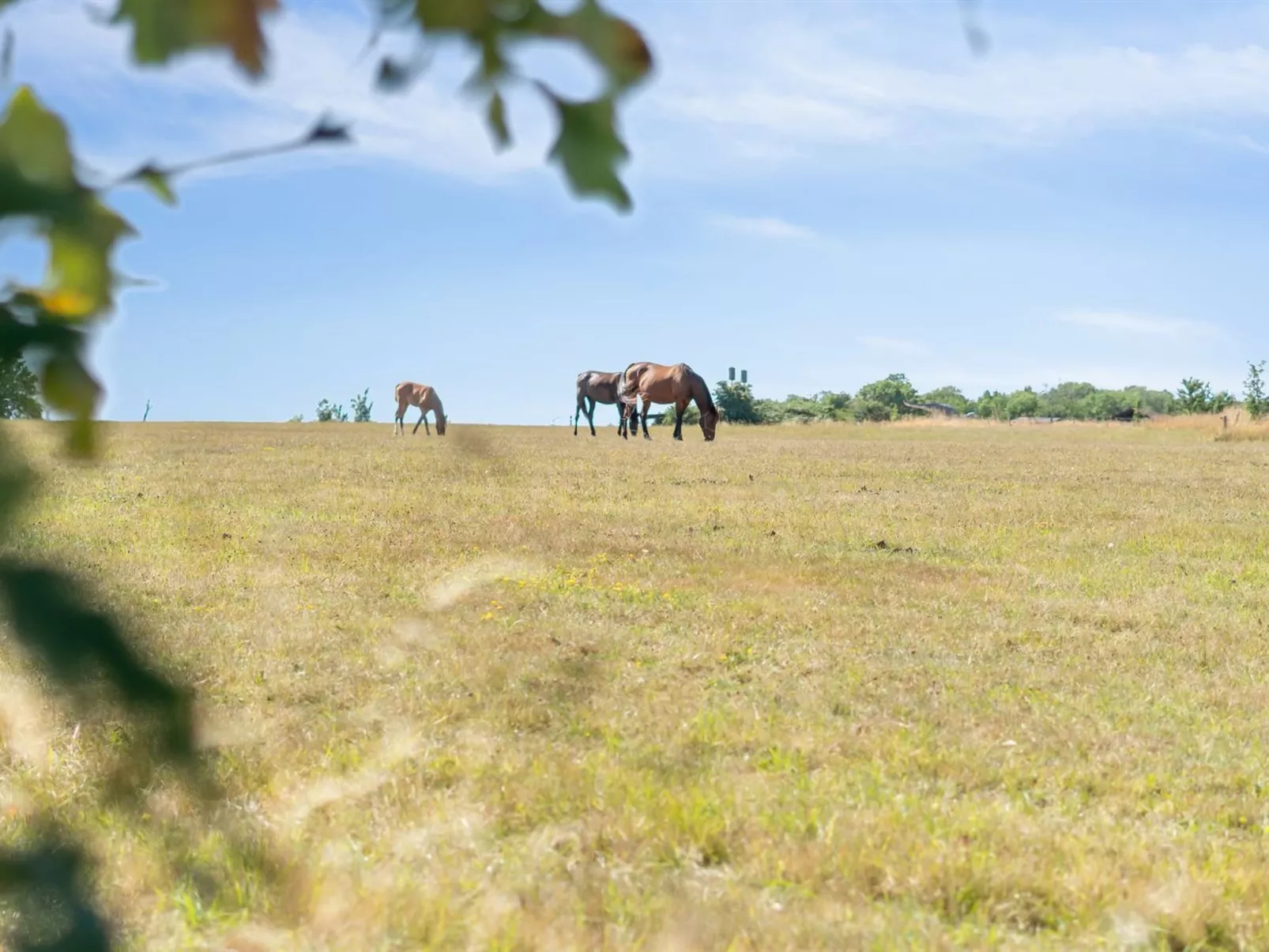 "Cornelia" - 6km from the sea-Outside